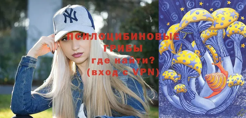 гидра вход  Курган  Галлюциногенные грибы Psilocybine cubensis 